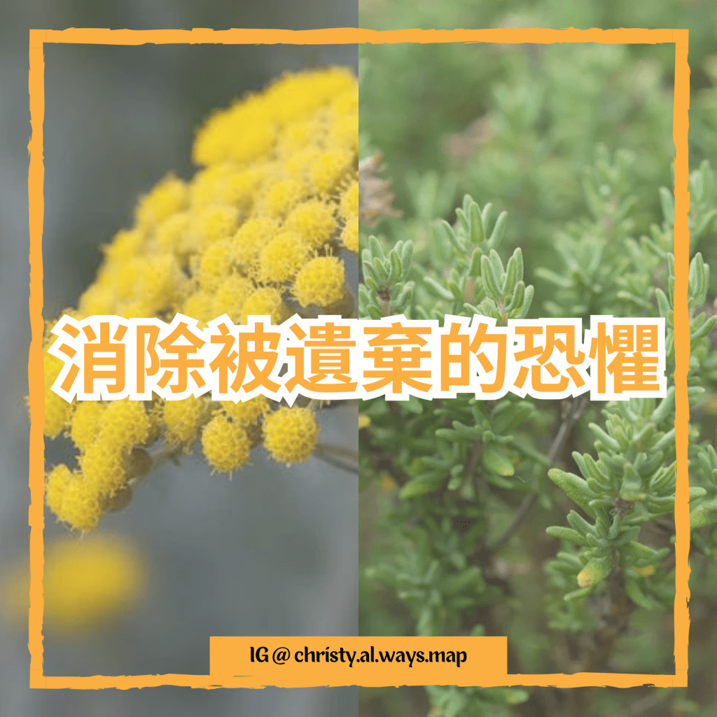 消除被遺棄的恐懼 | 姬絲蒂