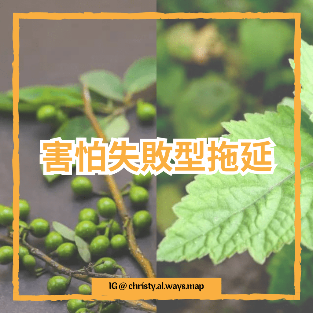 害怕失敗型拖延 | 姬絲蒂