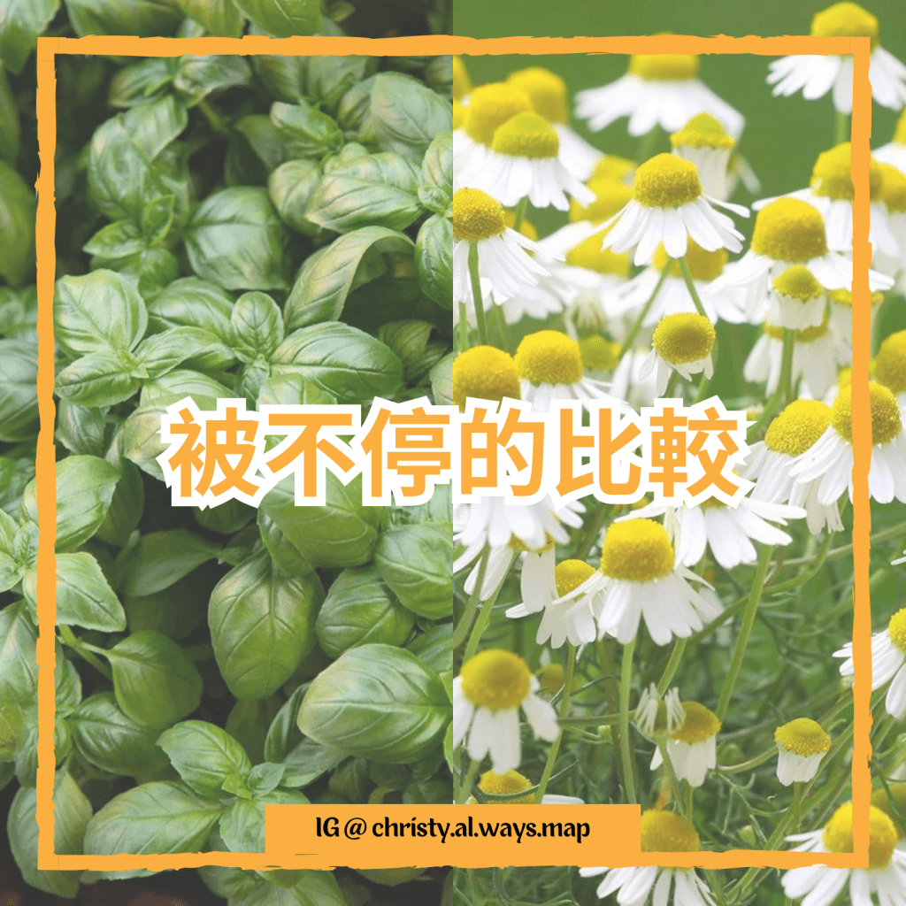 被不停的比較 | 姬絲蒂